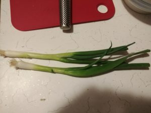 2 sprigs green onion
